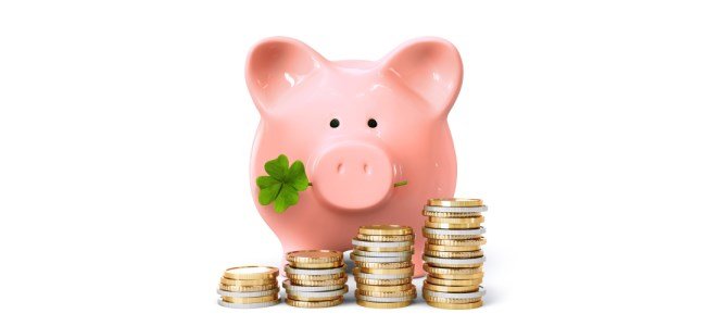 criação de sites Leilão de Centavos
